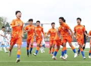 关于足球明星大放异彩，球场风云再起的信息