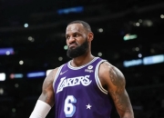 赛点之战法甲前瞻：詹姆斯伤情更新，达拉斯独行侠冲击零封纪录的简单介绍