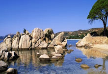  遵命警官全文完整版 